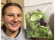 LETTUCE MIX BAG  200 Gram Katikati Grown